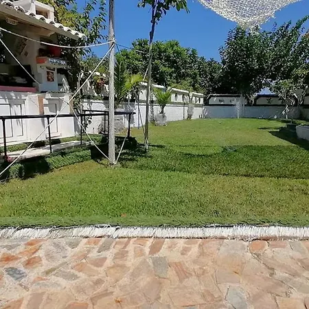 Dina *