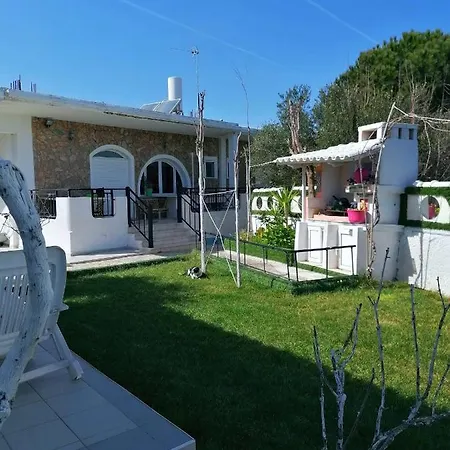 Dina Villa *
