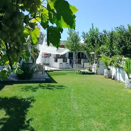 Dina Villa