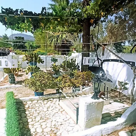 Dina Chania (Crete)